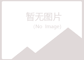 河池心底化学有限公司